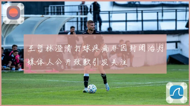 王哲林澄清打球疼痛非因封闭治疗媒体人公开致歉引发关注